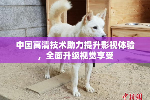 中国高清技术助力提升影视体验，全面升级视觉享受