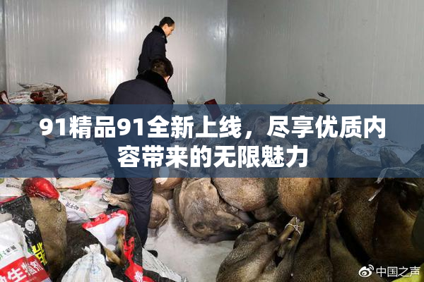 91精品91全新上线，尽享优质内容带来的无限魅力