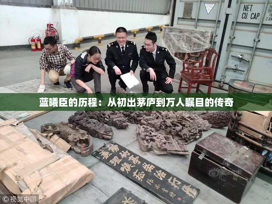 蓝曦臣的历程：从初出茅庐到万人瞩目的传奇