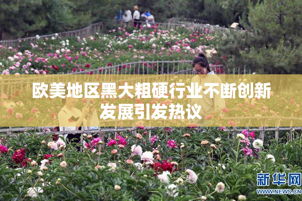 欧美地区黑大粗硬行业不断创新发展引发热议