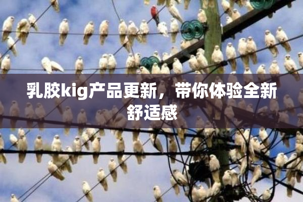 乳胶kig产品更新，带你体验全新舒适感