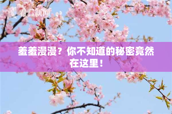 羞羞漫漫？你不知道的秘密竟然在这里！