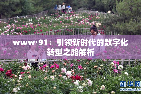 www·91：引领新时代的数字化转型之路解析