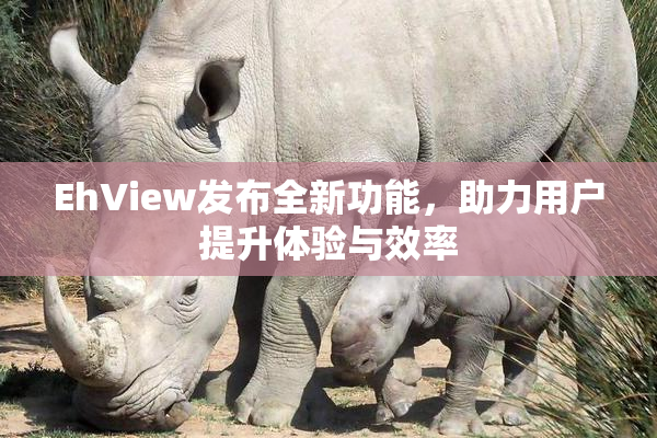 EhView发布全新功能，助力用户提升体验与效率