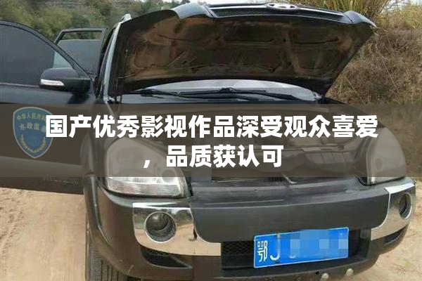 国产优秀影视作品深受观众喜爱，品质获认可