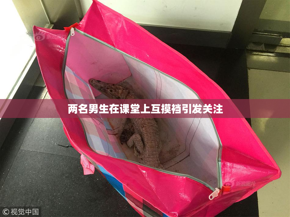 两名男生在课堂上互摸裆引发关注