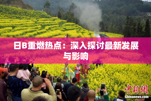 日B重燃热点：深入探讨最新发展与影响