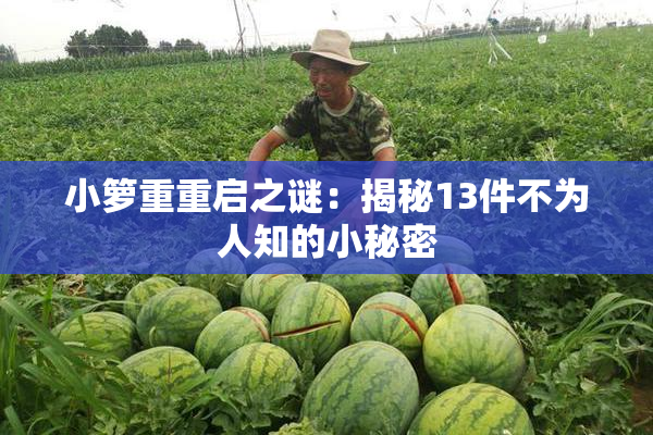 小箩重重启之谜：揭秘13件不为人知的小秘密