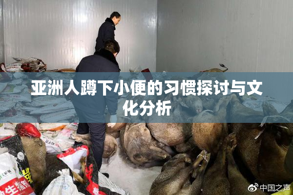 亚洲人蹲下小便的习惯探讨与文化分析