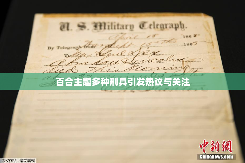 百合主题多种刑具引发热议与关注