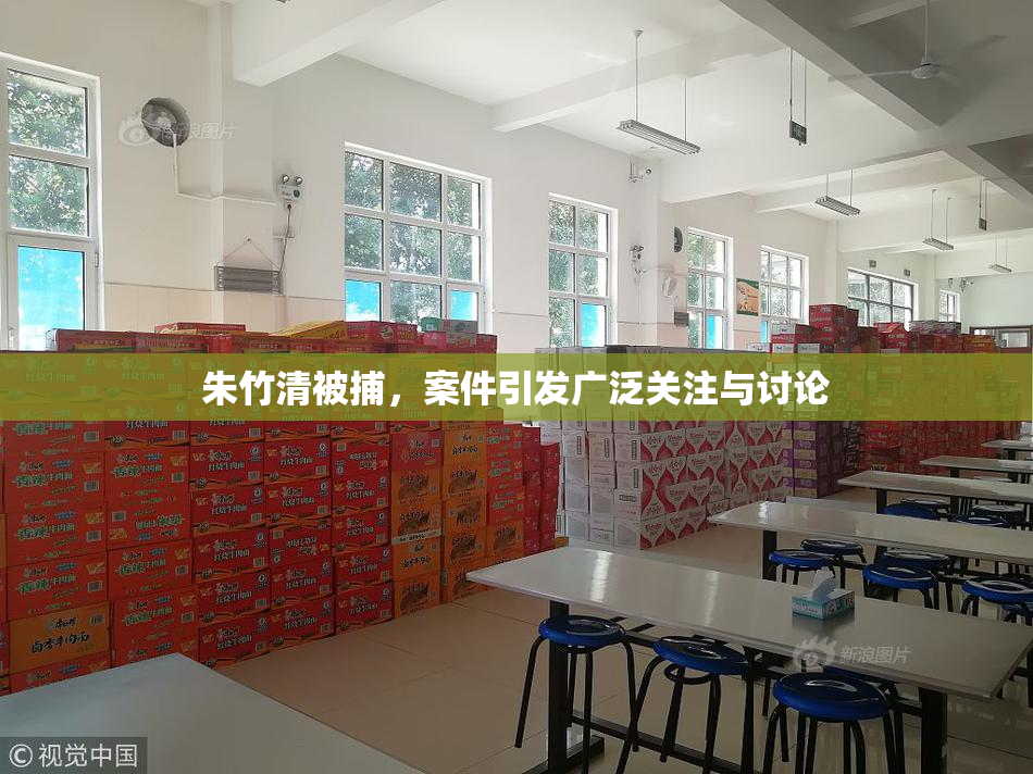 朱竹清被捕，案件引发广泛关注与讨论