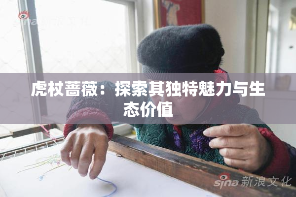 虎杖蔷薇：探索其独特魅力与生态价值