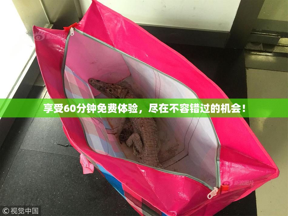 享受60分钟免费体验，尽在不容错过的机会！