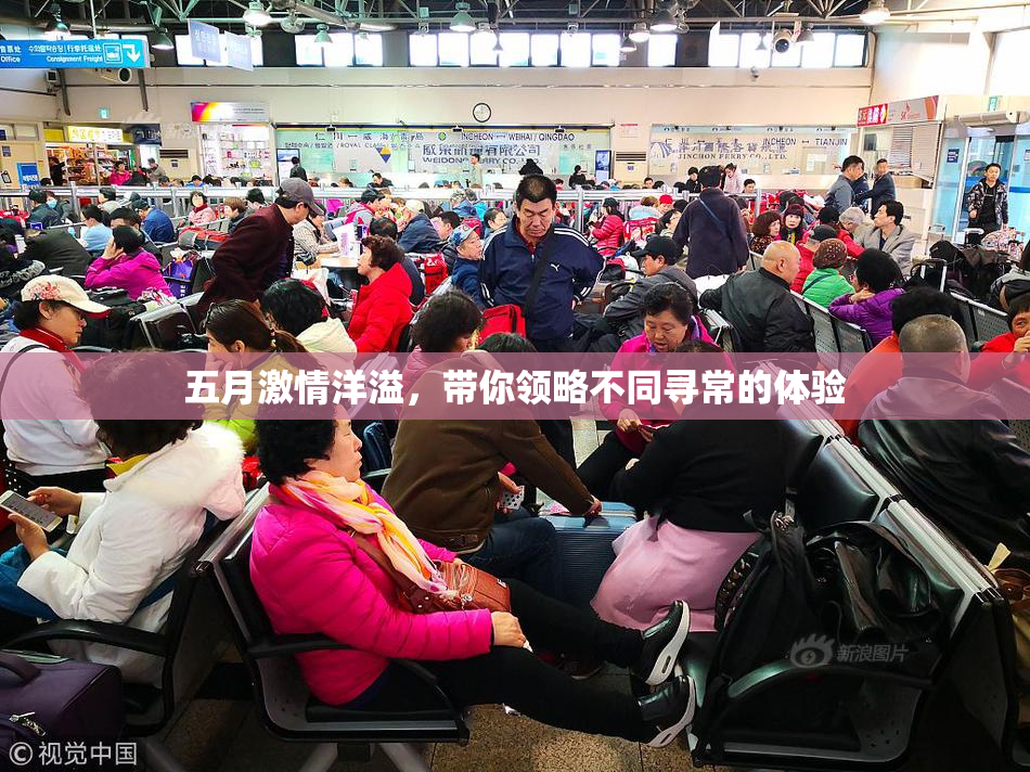 五月激情洋溢，带你领略不同寻常的体验