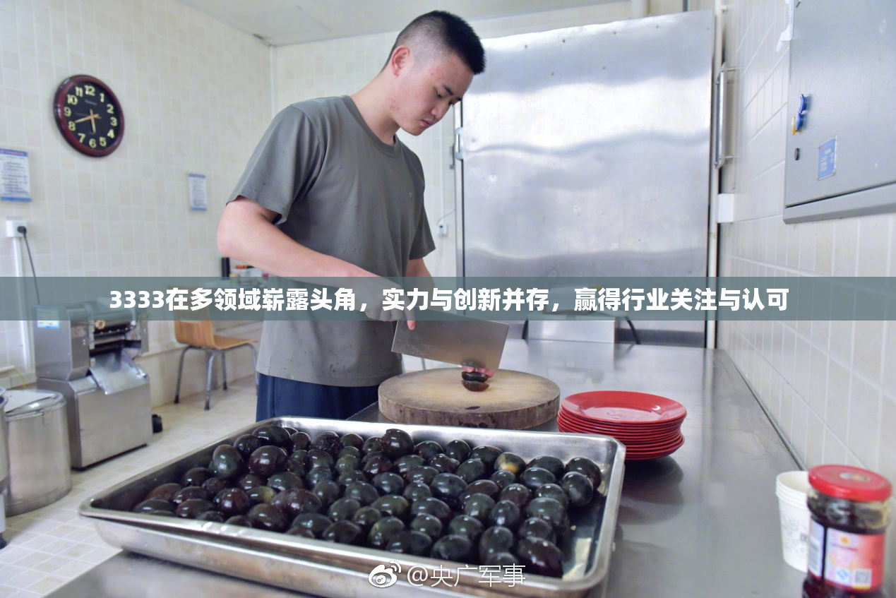 3333在多领域崭露头角，实力与创新并存，赢得行业关注与认可