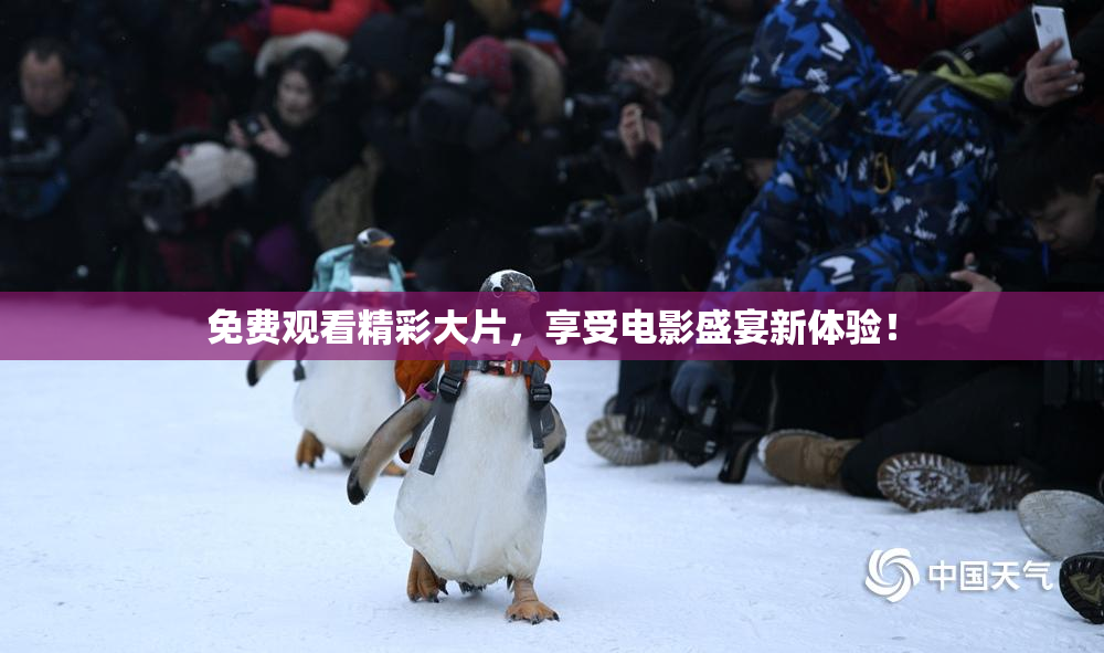 免费观看精彩大片，享受电影盛宴新体验！