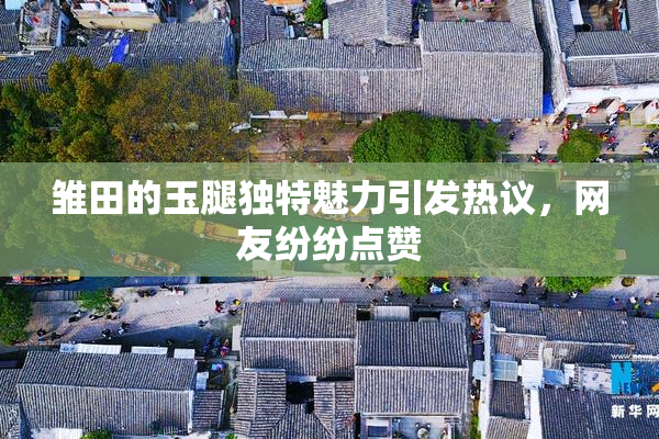 雏田的玉腿独特魅力引发热议，网友纷纷点赞