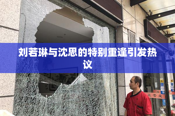 刘若琳与沈思的特别重逢引发热议