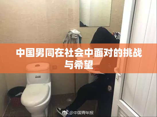 中国男同在社会中面对的挑战与希望