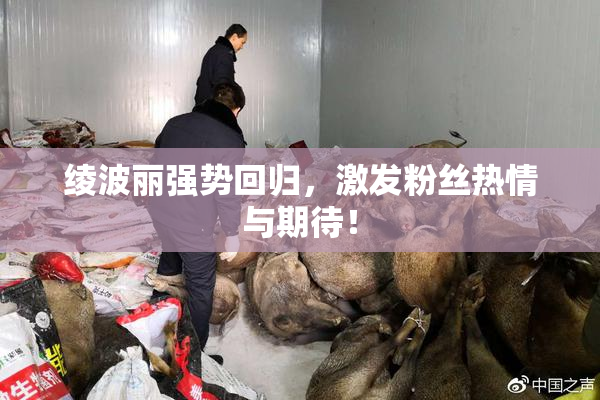 绫波丽强势回归，激发粉丝热情与期待！