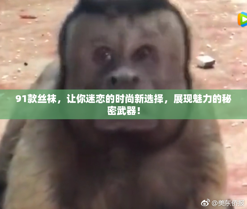 91款丝袜，让你迷恋的时尚新选择，展现魅力的秘密武器！