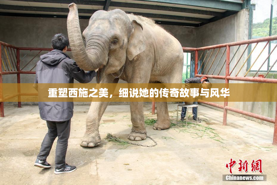 重塑西施之美，细说她的传奇故事与风华