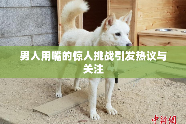 男人用嘴的惊人挑战引发热议与关注