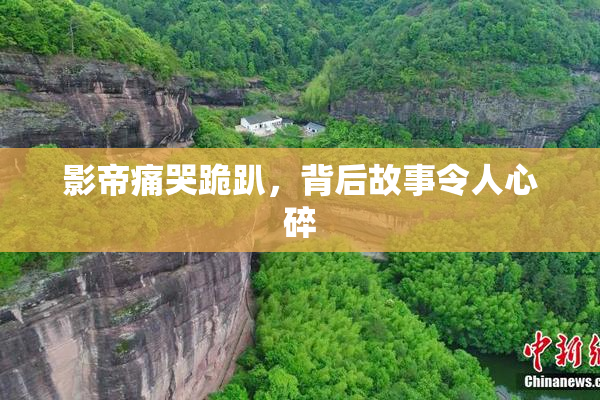 影帝痛哭跪趴，背后故事令人心碎