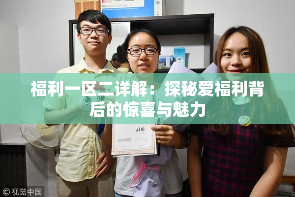 福利一区二详解：探秘爱福利背后的惊喜与魅力