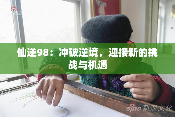 仙逆98：冲破逆境，迎接新的挑战与机遇