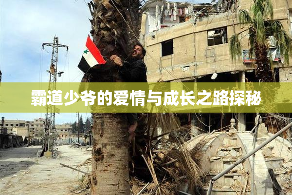 霸道少爷的爱情与成长之路探秘