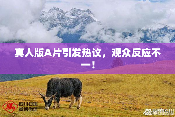 真人版A片引发热议，观众反应不一！
