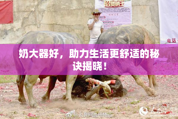 奶大器好，助力生活更舒适的秘诀揭晓！