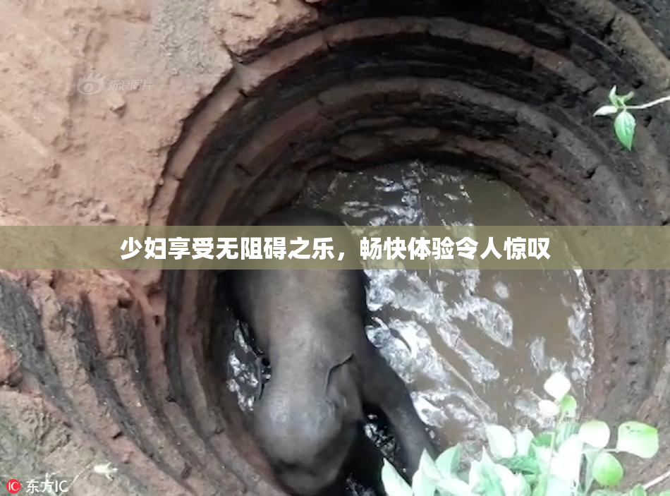 少妇享受无阻碍之乐，畅快体验令人惊叹