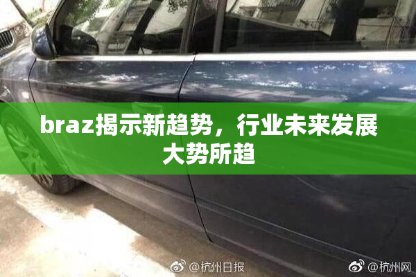 braz揭示新趋势，行业未来发展大势所趋