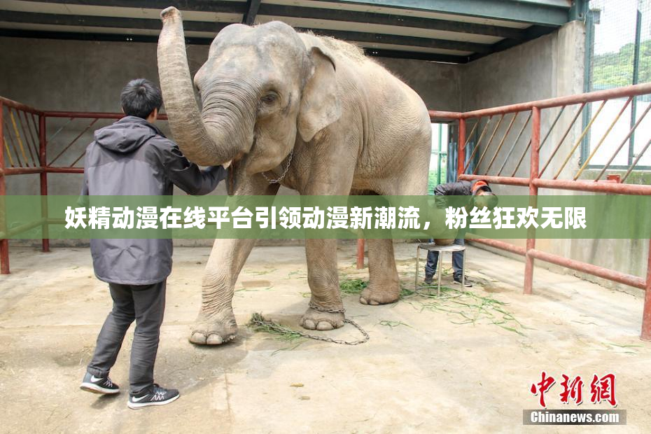 妖精动漫在线平台引领动漫新潮流，粉丝狂欢无限