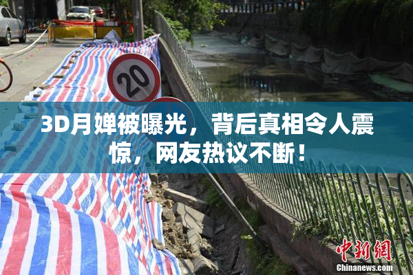 3D月婵被曝光，背后真相令人震惊，网友热议不断！