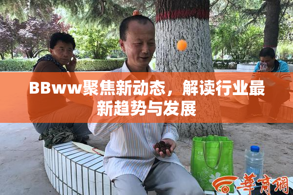 BBww聚焦新动态，解读行业最新趋势与发展