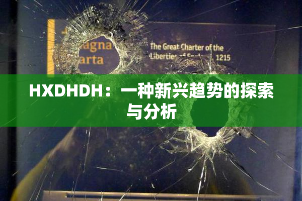 HXDHDH：一种新兴趋势的探索与分析