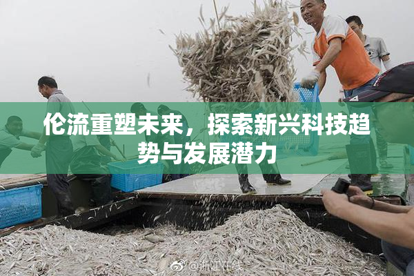 伦流重塑未来，探索新兴科技趋势与发展潜力