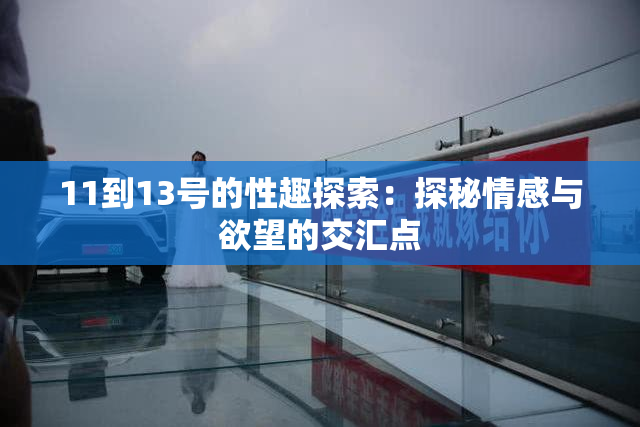 11到13号的性趣探索：探秘情感与欲望的交汇点