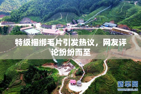 特级捆绑毛片引发热议，网友评论纷纷而至