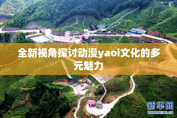 全新视角探讨动漫yaoi文化的多元魅力