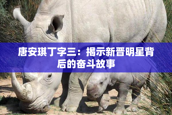 唐安琪丁字三：揭示新晋明星背后的奋斗故事