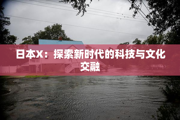 日本X：探索新时代的科技与文化交融