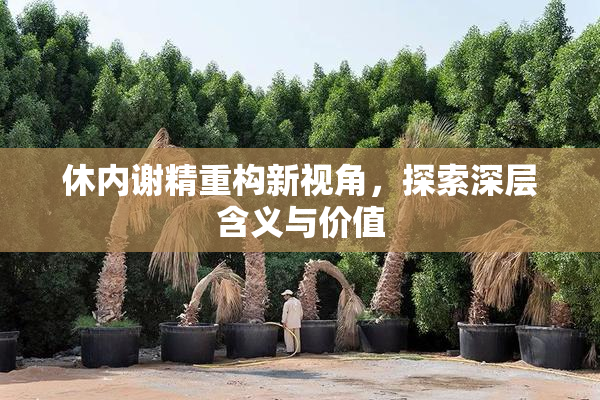 休内谢精重构新视角，探索深层含义与价值
