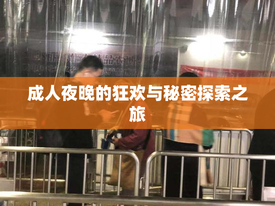 成人夜晚的狂欢与秘密探索之旅