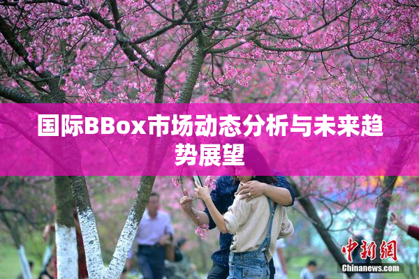 国际BBox市场动态分析与未来趋势展望