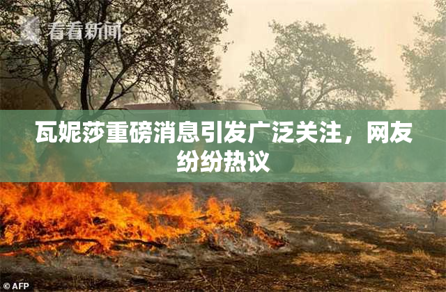 瓦妮莎重磅消息引发广泛关注，网友纷纷热议