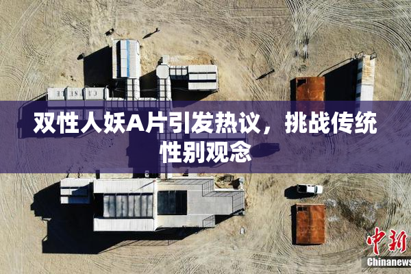 双性人妖A片引发热议，挑战传统性别观念